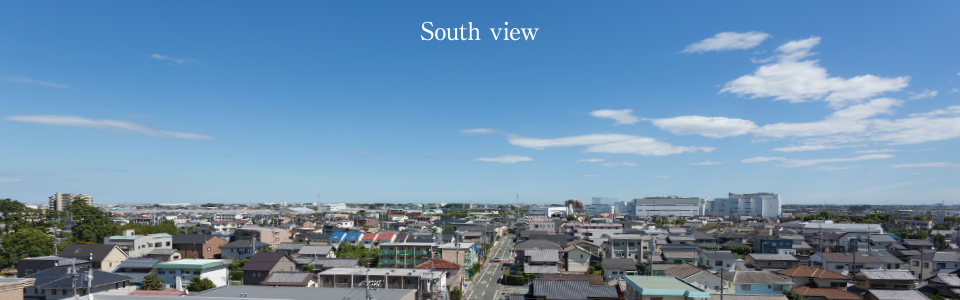 South view