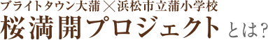 桜満開プロジェクトとは？